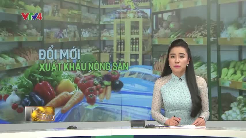 Đổi mới hoạt động xuất khẩu nông sản
