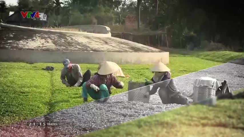Tiêu điểm: Ngày quốc tế xóa đói giảm nghèo
