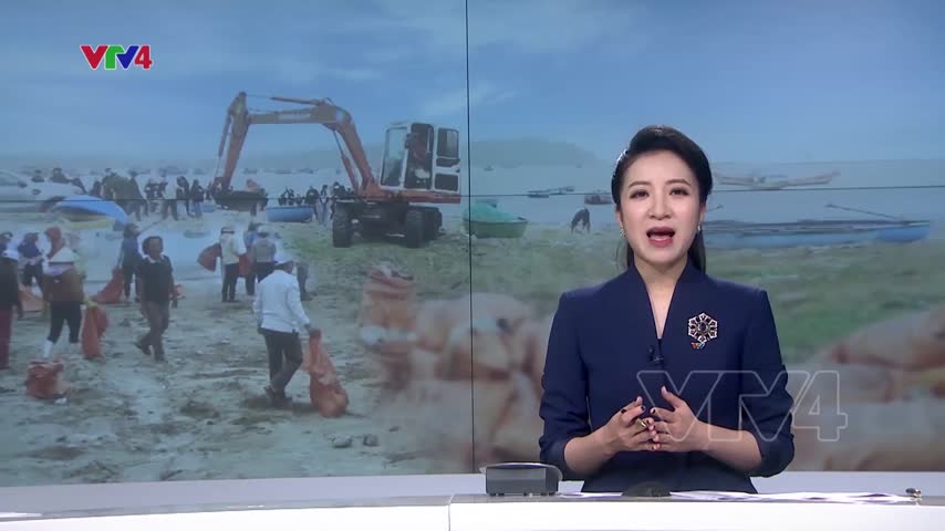 Dự án cộng đồng 