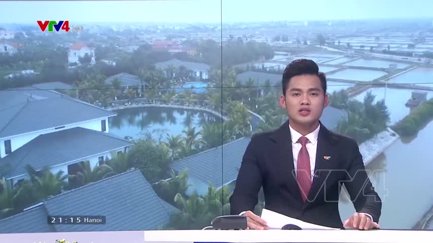 Thái Bình phát triển du lịch sinh thái đối với diện tích rừng ngập mặn