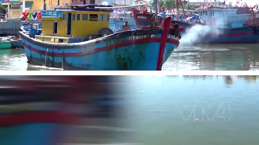 Tiêu điểm: Nỗ lực phòng chống IUU