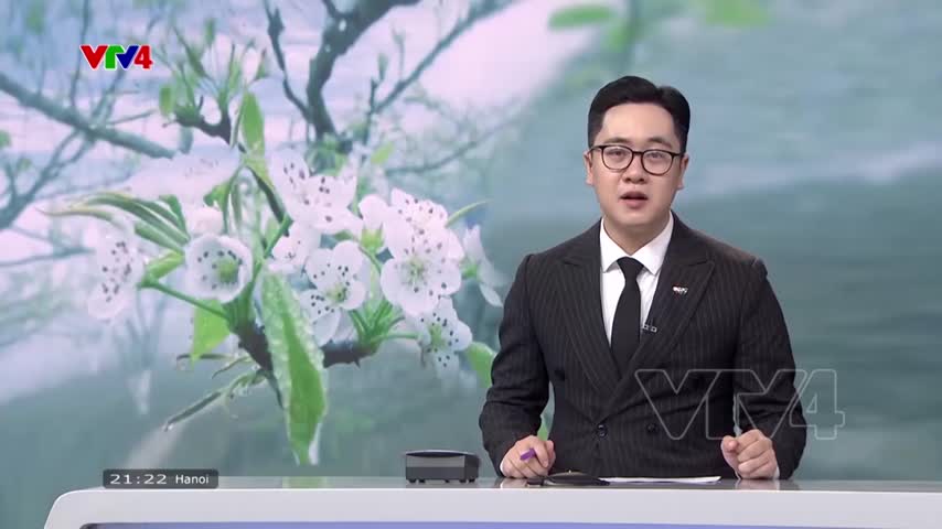 Hoa lê Bắc Hà thu hút du khách