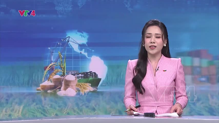 Doanh nghiệp xuất khẩu gạo thận trọng ký hợp đồng mới
