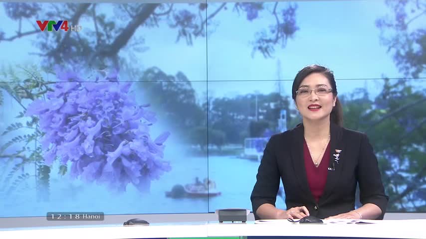 Êm đềm phố núi mùa phượng tím