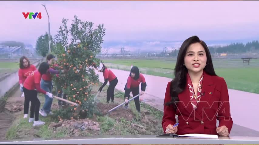 Trồng cây - Nét văn hóa đầu xuân