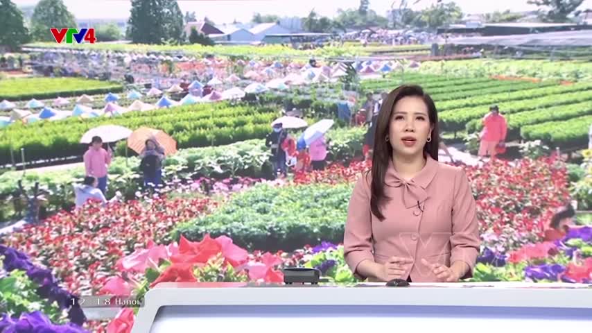 Làng hoa Sa Đéc hút khách tham quan
