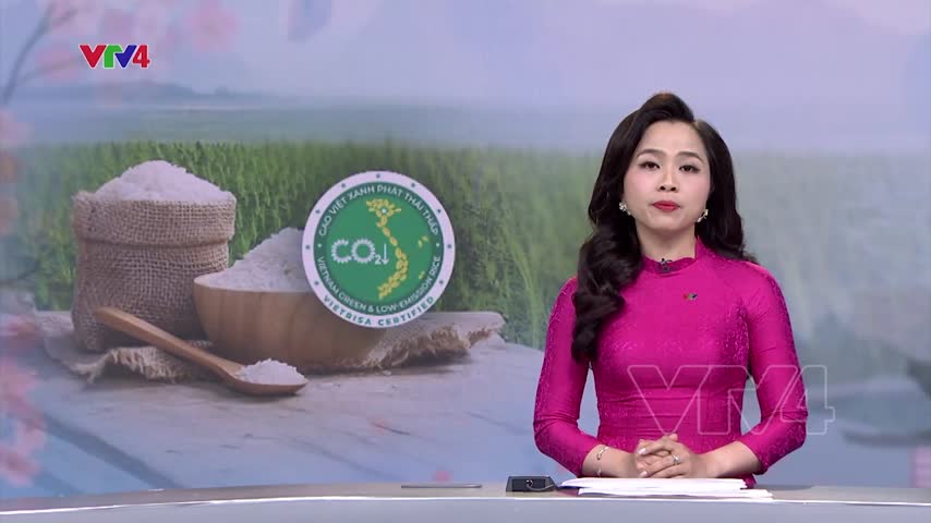 Xuất khẩu lô gạo phát thải thấp đầu tiên sang Nhật