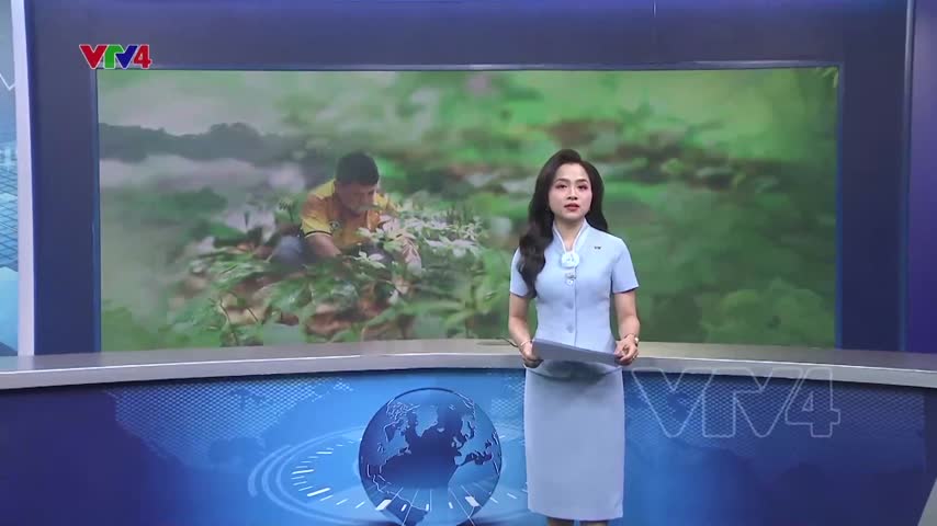 Đồng bào Xơ Đăng làm giàu dưới chân núi Ngọc Linh