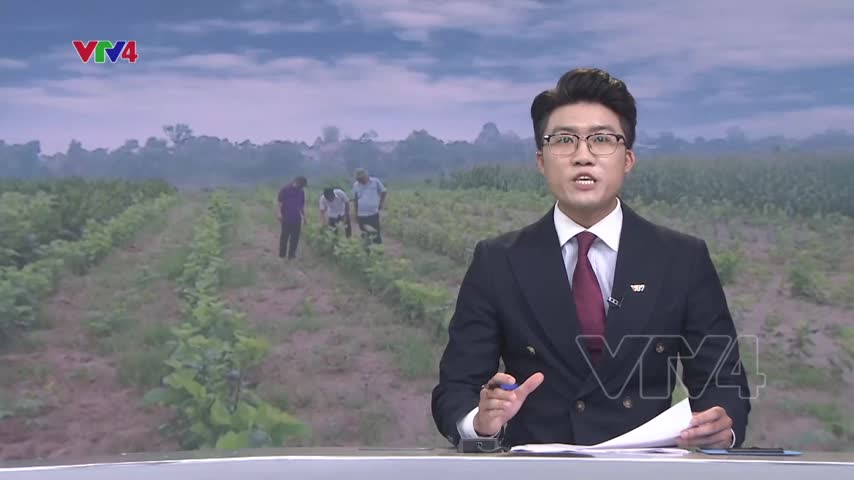 Sản xuất linh hoạt, thích ứng với thiên tai
