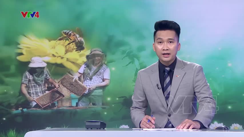 Ngành ong Việt Nam sau phán quyết thuế của Mỹ