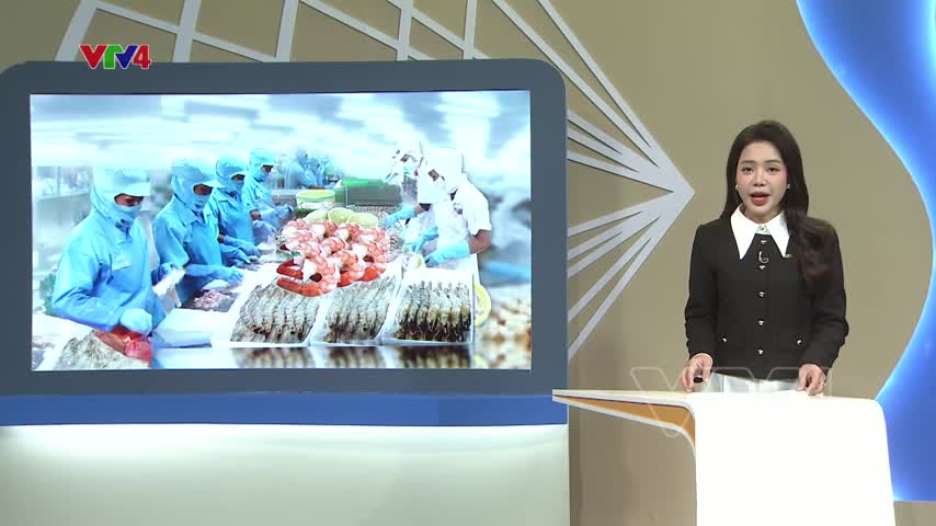 Quy định mới với tôm Việt xuất Châu Âu