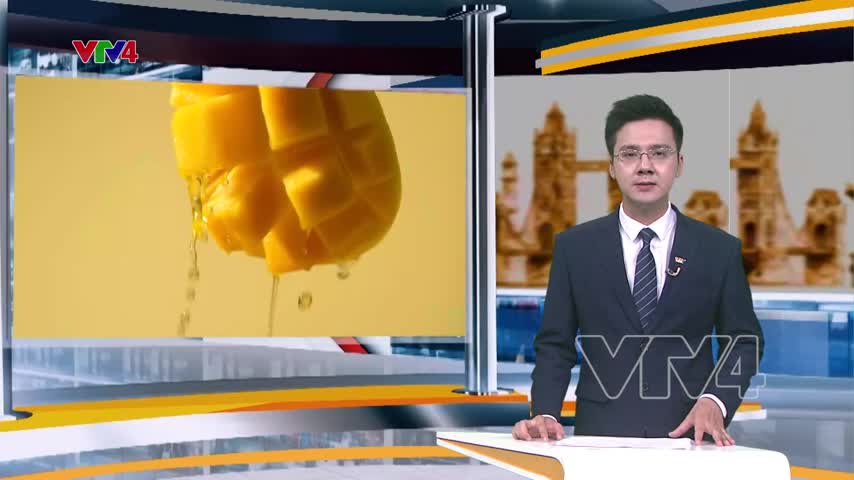 Doanh nghiệp Việt nam – Singapore hướng tới phát triển bền vững