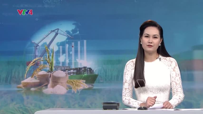 Cân đối xuất khẩu gạo đến cuối năm