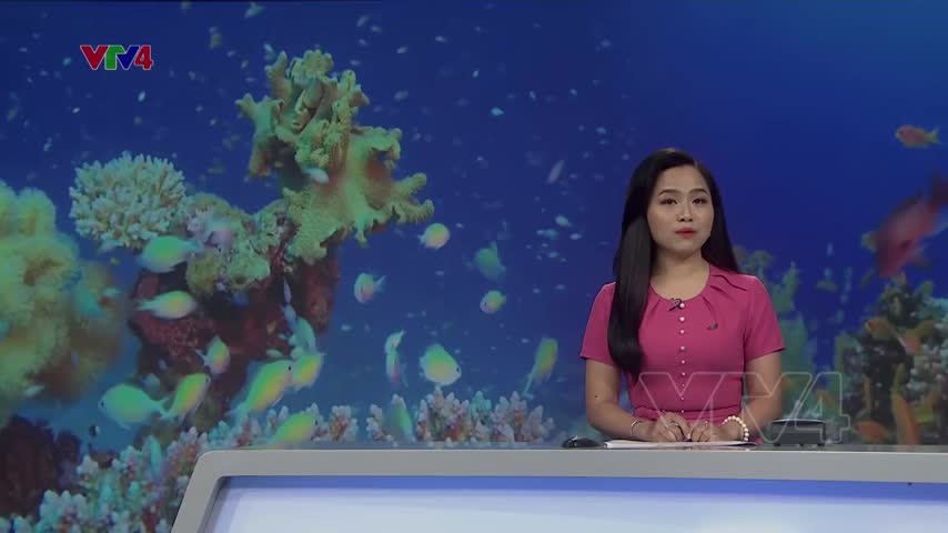 Hưởng ứng ngày Đại dương thế giới