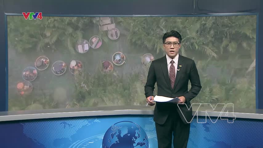 Làng Cẩm Thanh - điểm đến đặc sắc của Đông Nam Á