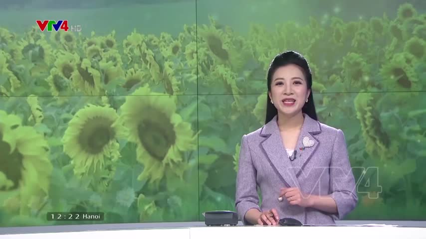 Cánh đồng hoa Phủ Qùy, Nghệ An