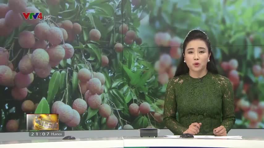 Gia tăng giá trị nông sản Việt