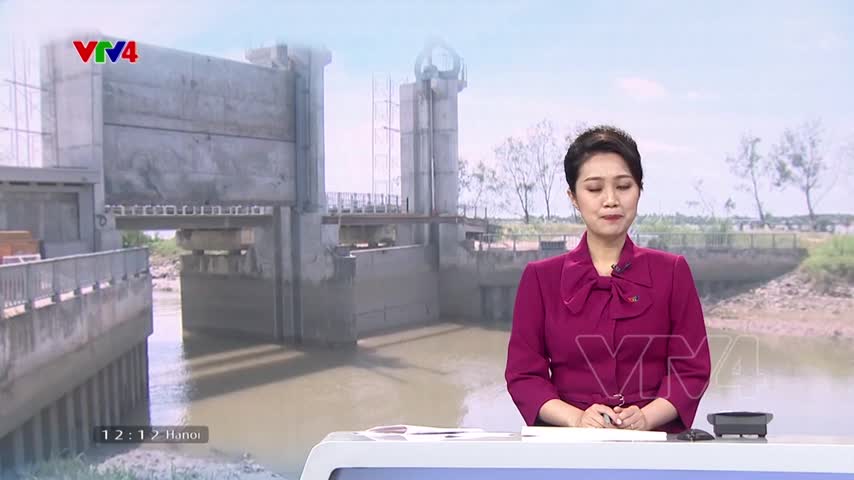 Chủ động phòng chống xâm nhập mặn 