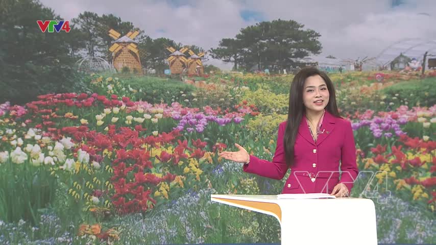 Du lịch Đà Lạt sôi động dịp năm mới