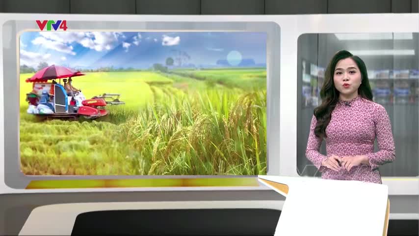 Niềm vui mùa gặt
