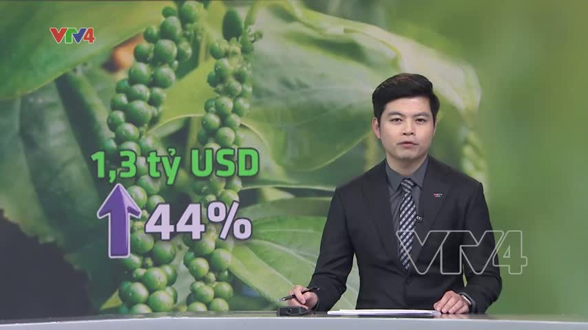 Việt Nam đứng đầu thế giới về sản xuất hồ tiêu