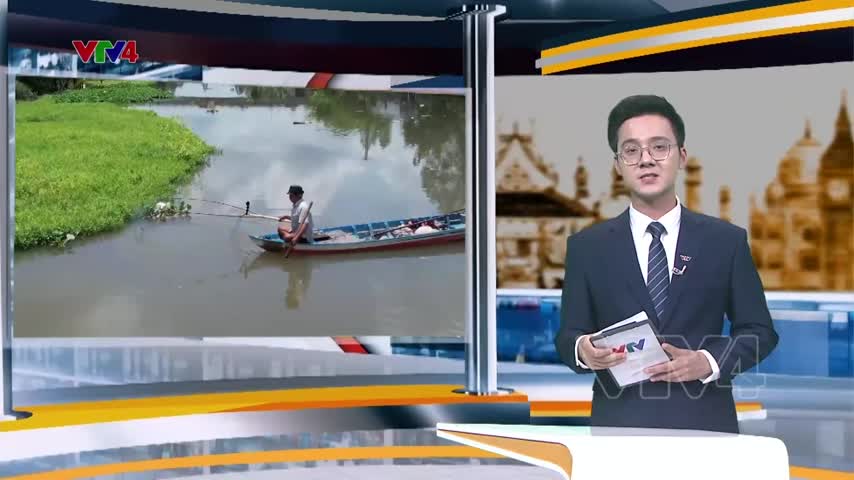 Hớt cá thong dong