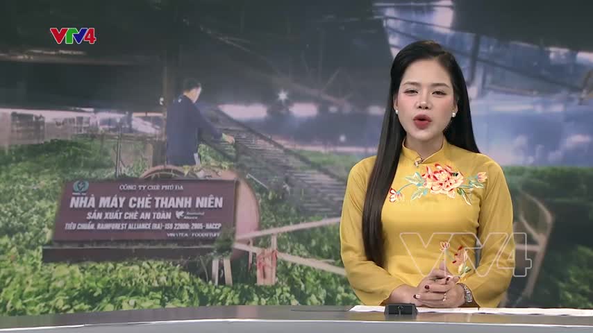 Khu kinh tế thanh niên – một thời để nhớ