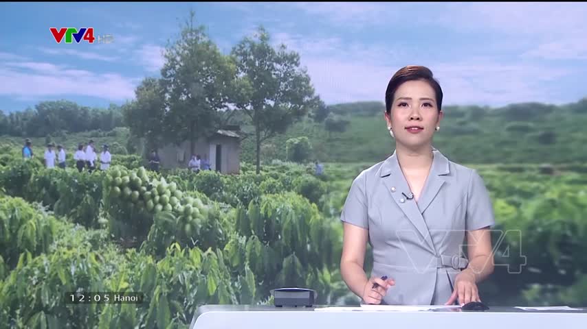 Phát triển trang trại nông nghiệp theo hướng hữu cơ