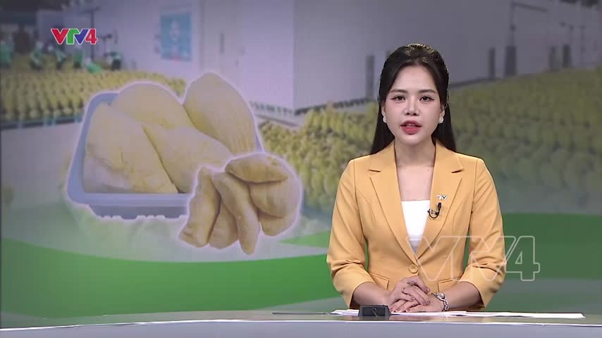 Cơ hội xuất khẩu sầu riêng đông lạnh sang Trung Quốc