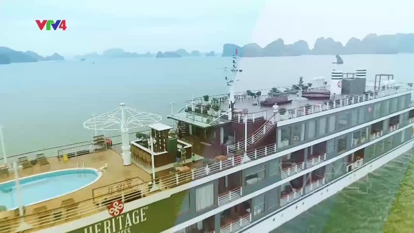 Focus Du lịch Việt Nam mở cửa và phục hồi