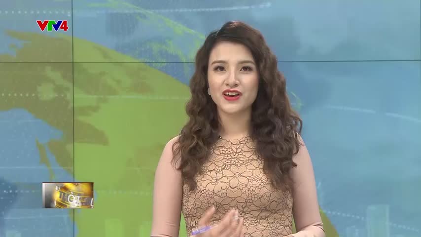 Trà Art, triển lãm đa giác quan tôn vinh cây trà cổ Shan tuyết