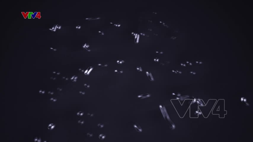 Bản tin tiếng Anh 15h - 17/09/2021