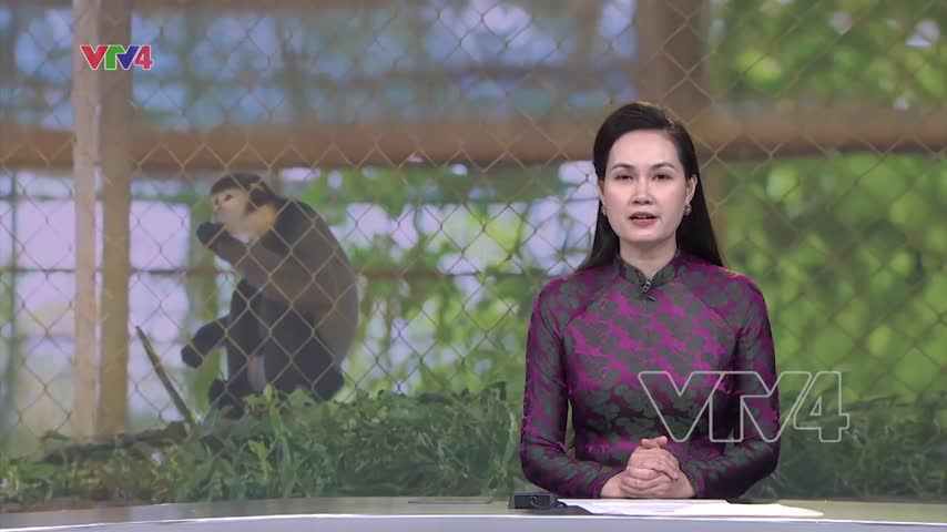 Bình Phước: Bảo vệ đa dạng sinh học ở Vườn Quốc gia Bù Gia Mập
