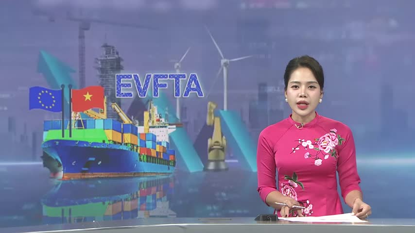 EVFTA Động lực cho thương mại Việt Nam - EU