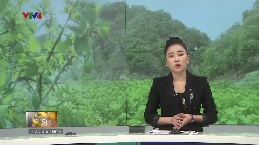 Phát triển nông nghiệp thích ứng biến đổi khí hậu