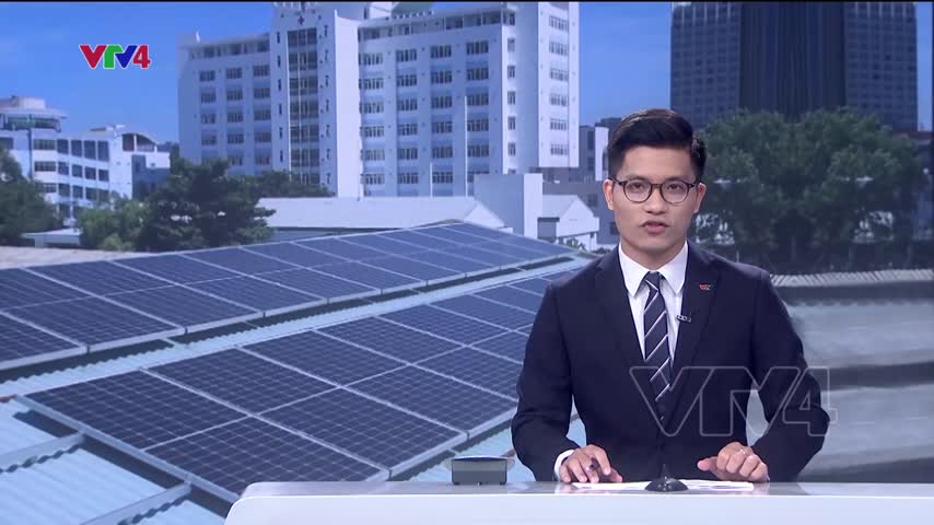 Thành phố của những mái nhà xanh