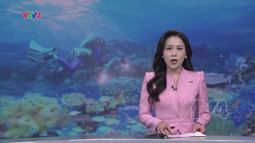 Chung tay phục hồi hệ sinh thái biển