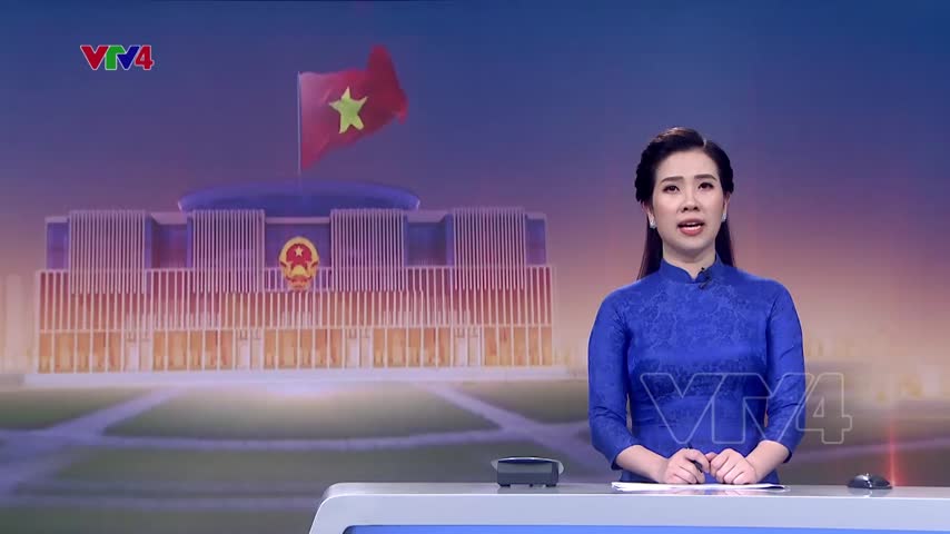 Cho ý kiến về Dự luật thanh tra sửa đổi