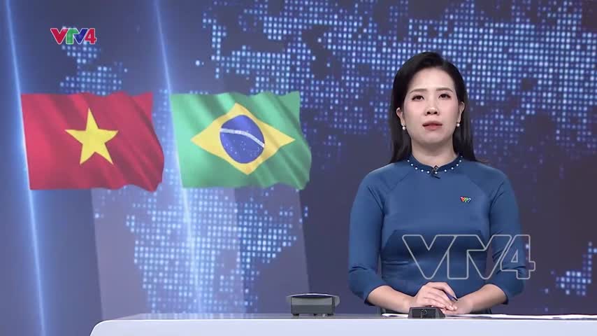 Việt Nam - Brazil nâng cấp quan hệ lên đối tác chiến lược