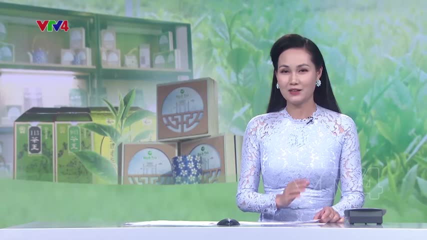 Chè Việt Nam 