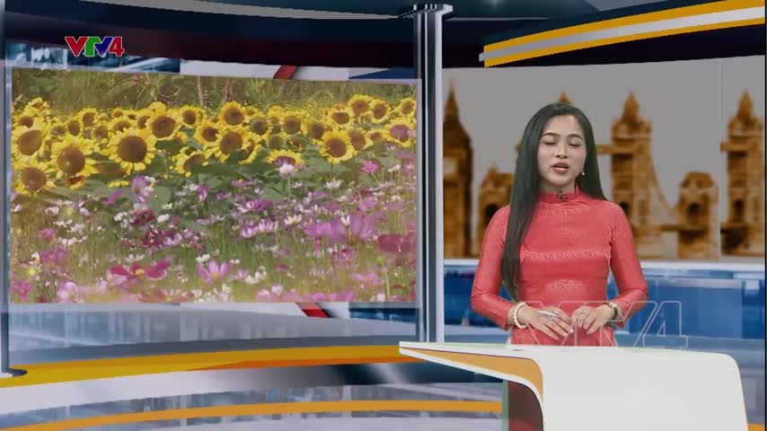 Nở hoa trên vùng phèn mặn