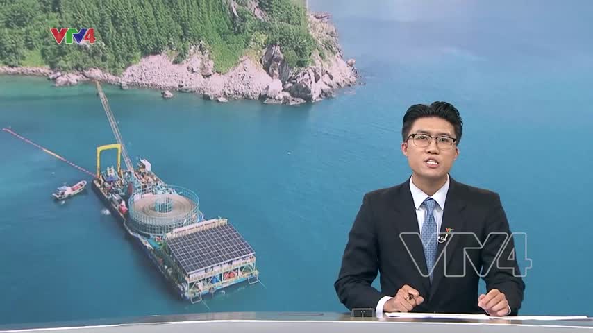 Đóng điện thành công dự án cấp điện ra Côn Đảo