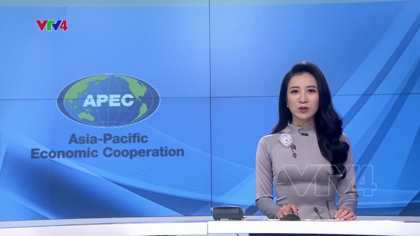 Hội nghị cấp cao APEC