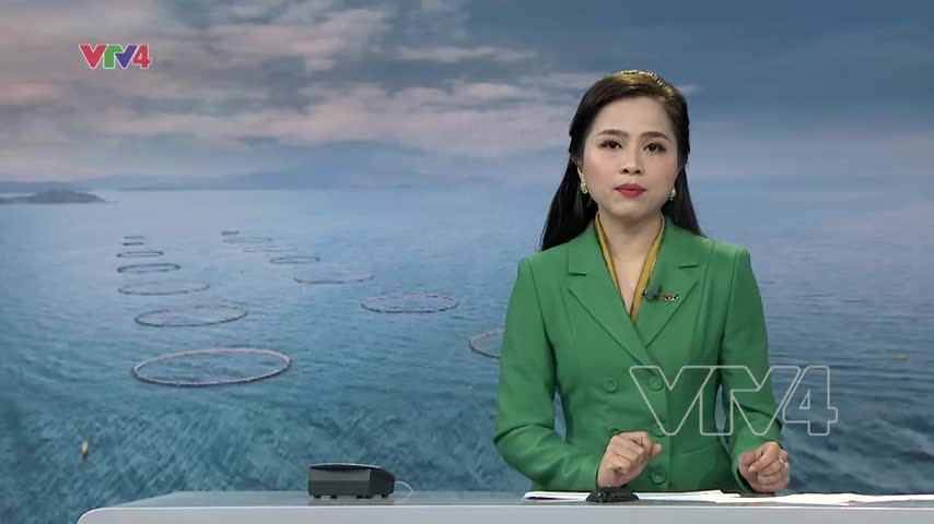 Gần 500.000 ha biển là vùng bảo tồn nguồn lợi thủy sản