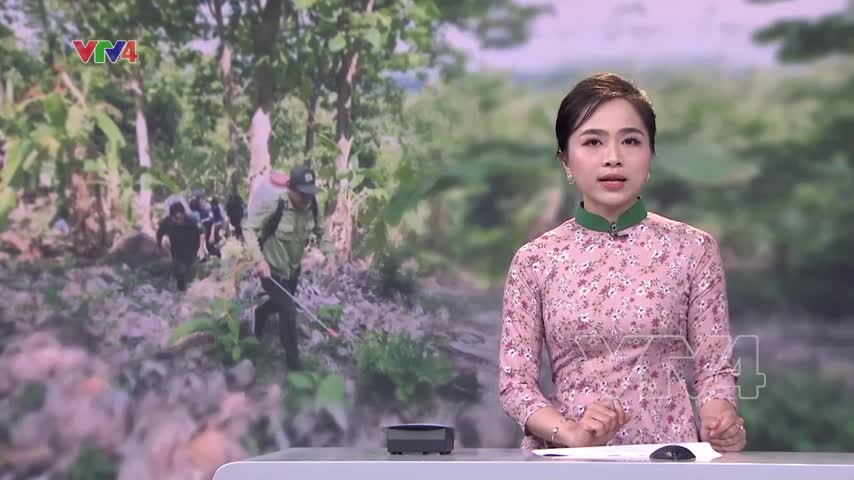 Cõng nước cứu rừng