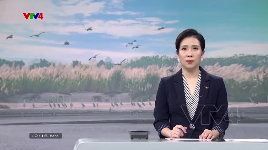 Vườn chim hoang dã bãi giữa sông Hồng