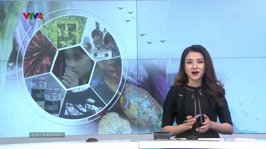 Triển lãm đa giác quan của nghệ sỹ Pháp gốc Việt Claire Xuân