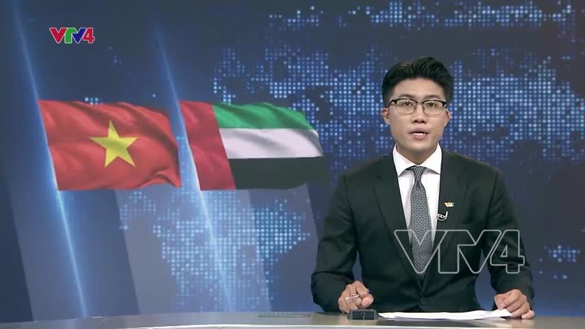 Thúc đẩy hợp tác toàn diện Việt Nam - UAE