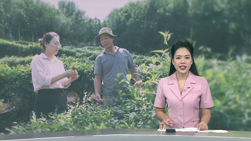 Hỗ trợ nông dân sau sáp nhập địa giới