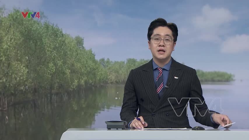 Phát huy tính đa dụng của rừng ngập mặn